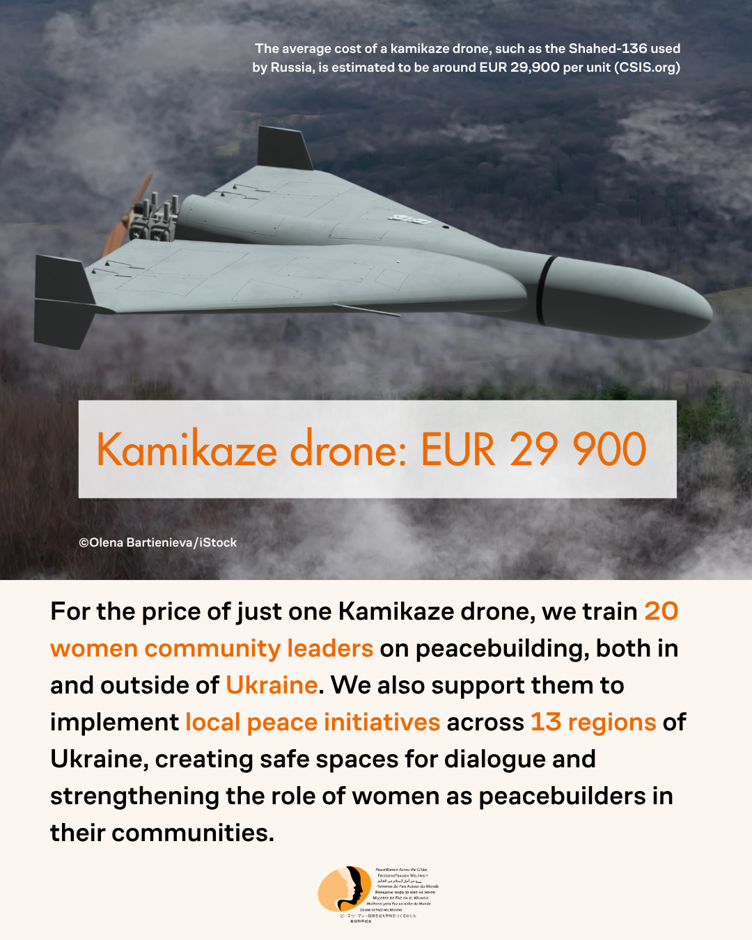 Fund peace: kamikaze drone